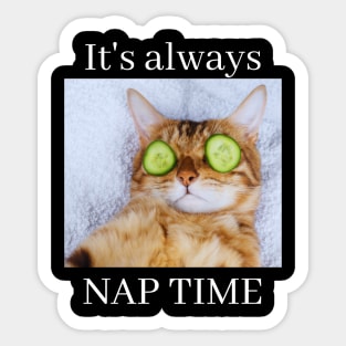 Most Likely to Take a Nap, It's Always Nap Time Funny cat Sticker